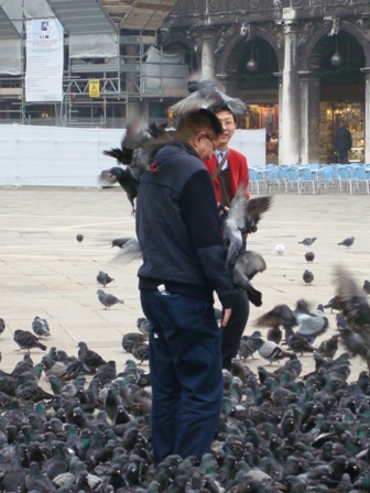 Turista alimentando pombos