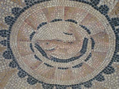 Mosaico - Museu de Verona