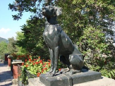 Estátua de um cachorro. Há muitos por aqui. Nos parques e praças estão sempre "largados".