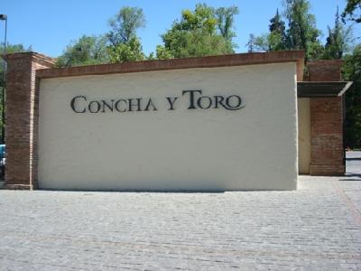 Concha y Toro