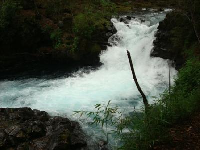 Saltos de Mariman