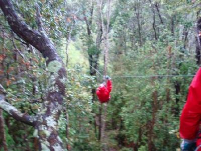 Canopy Bosque Aventura