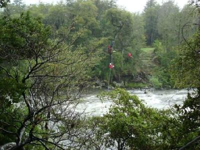 Canopy Bosque Aventura