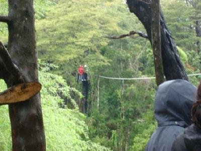 Canopy Bosque Aventura