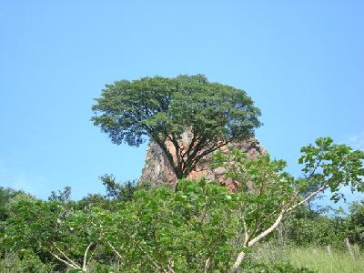 Rumo ao Cuscuzeiro