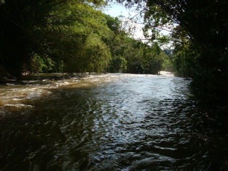 Parque dos Saltos