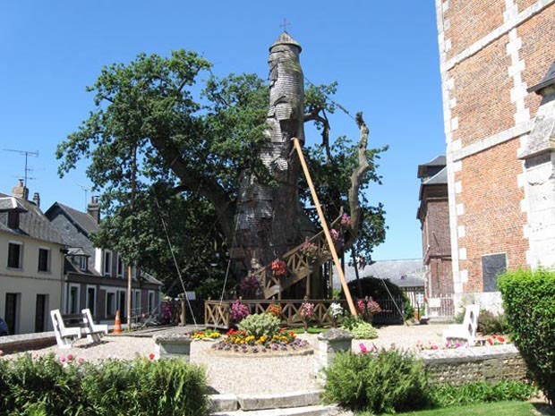 Carvalho: A Capela do Carvalho é um carvalho que hospeda, no tronco oco, duas capelas construídas em 1669. Há uma escada em espiral que leva os peregrinos até os templos. A árvore, que fica em Allouville-Bellefosse, França, tem entre 800 e 1.200 anos, 15 m de altura e 16 m de circunferência.