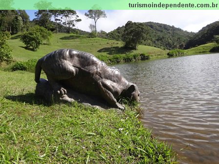 Paraíso Eco Lodge