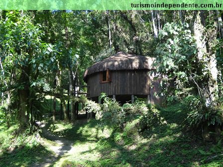 Paraíso Eco Lodge - Chalé Girafa