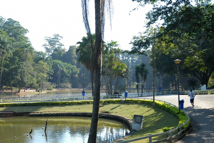 Parque Estadual Alberto Löfgren Horto Florestal