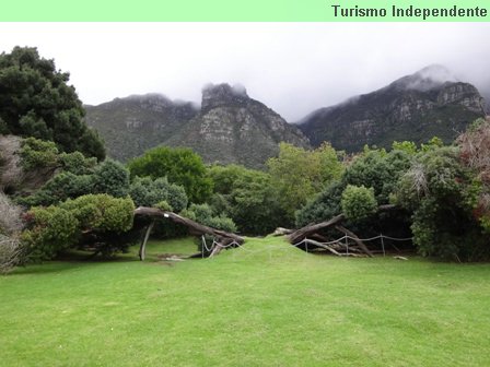 Jardim Botânico, ou Kirstenbosch Gardens.