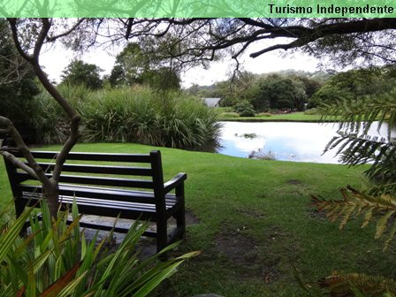 Jardim Botânico, ou Kirstenbosch Gardens.