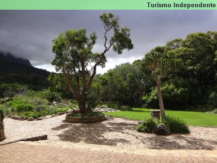 Jardim Botânico, ou Kirstenbosch Gardens.