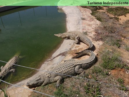 Aquila Rehabilitation & Conservation Centre.