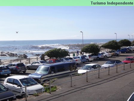 Sea Point, Cidade do Cabo. Aqui dá pra ver a força do vento, que inclinou as árvores.