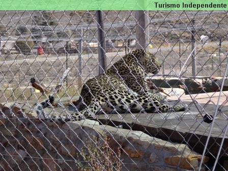 Aquila Rehabilitation & Conservation Centre.