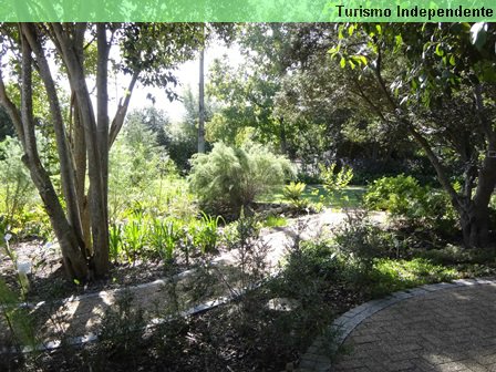 Jardim Botânico em Stellenbosch.