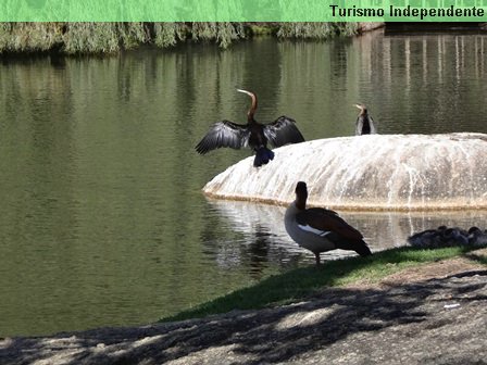 Vinícola Spier.