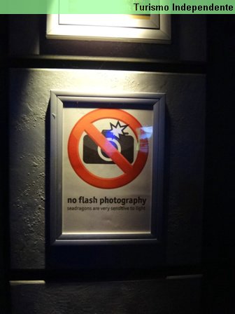 Respeite: em alguns lugares o uso de flash é proibido.