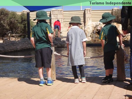 O uniforme escolar das crianças de Perth vem com esse chapeuzinho.