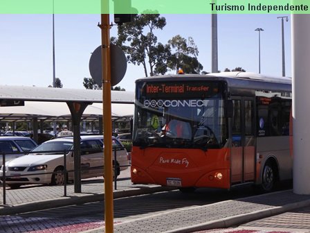 Ônibus que faz a conexão gratuita entre os terminais.