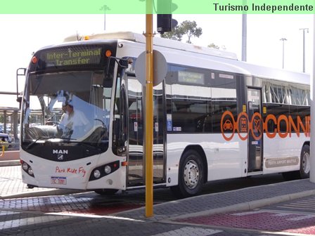 Ônibus que faz a conexão gratuita entre os terminais - também pode ser branco.