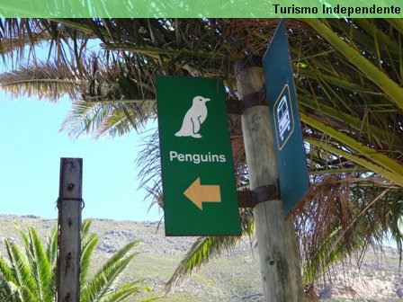 Boulders, a praia dos pinguins.