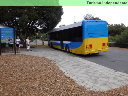 Esse ônibus faz um tour pela ilha.