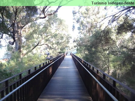 Tree Top Walk, o caminho pela copa das árvores.