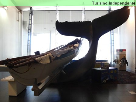 Réplica em tamanho real de uma baleia que virou um 'whaleboat'.