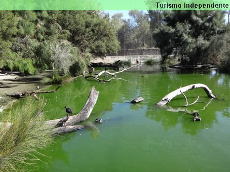 Zoológico de Perth.