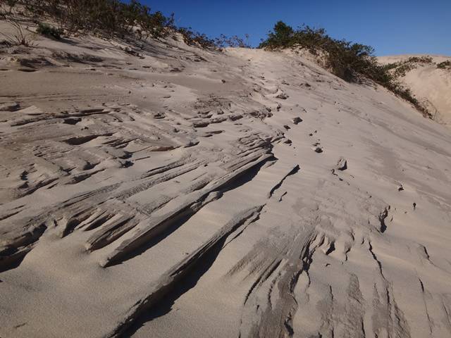 Trilha Dunas da Praia da Joaquina.