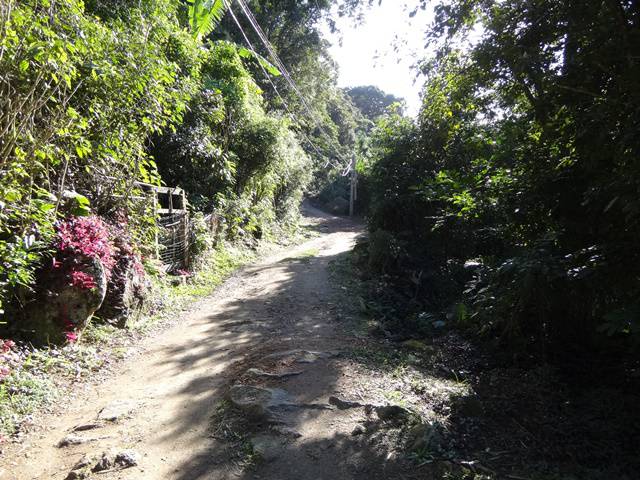 Caminho até o início da trilha: pouco asfalto, alguns buracos e via estreita.