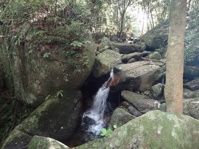 Pequena cascata na Trilha de Naufragados.