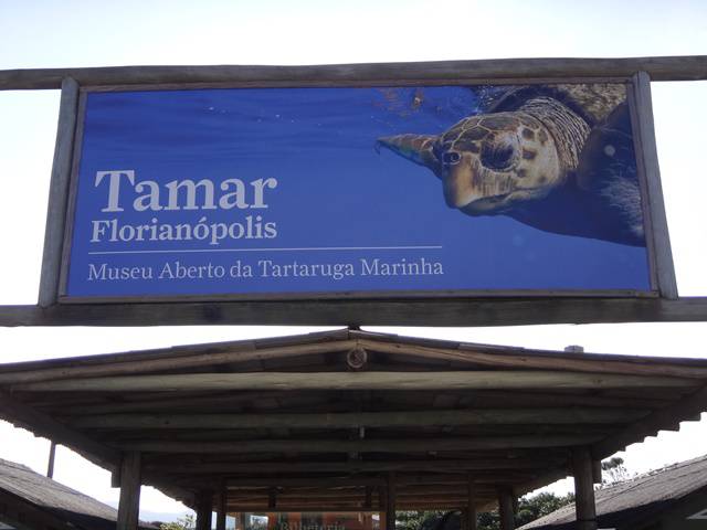Projeto TAMAR Floripa.