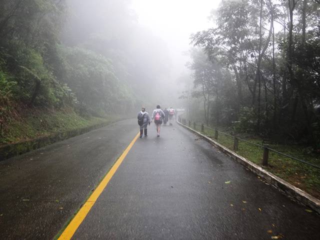 E dá-lhe cainhada debaixo de chuva.