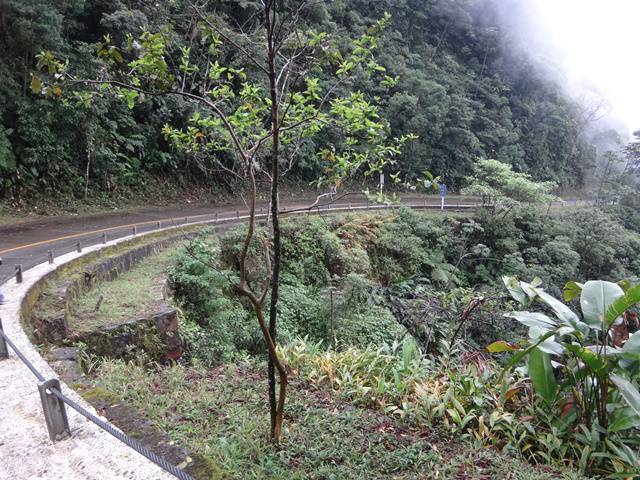 Um dos raros momentos sem chuva na Estrada Velha de Santos.