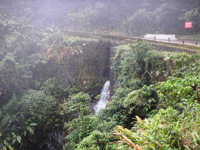 Paisagem na Estrada Velha de Santos.