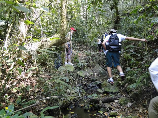 Obstáculos naturais - trilha Japiapé.