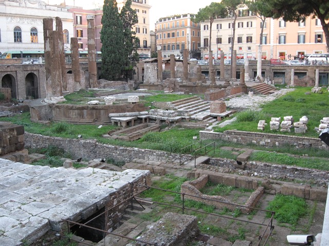 Santuário dos Gatos, em Roma. Foto: helix84 (http://commons.wikimedia.org).