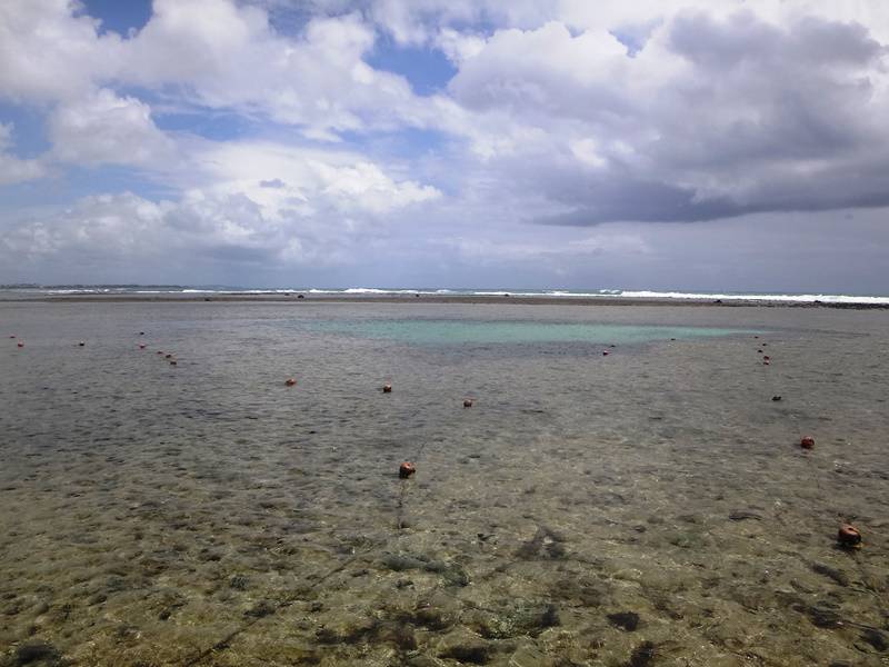 Piscinas naturais de Porto de Galinhas, Pernambuco.