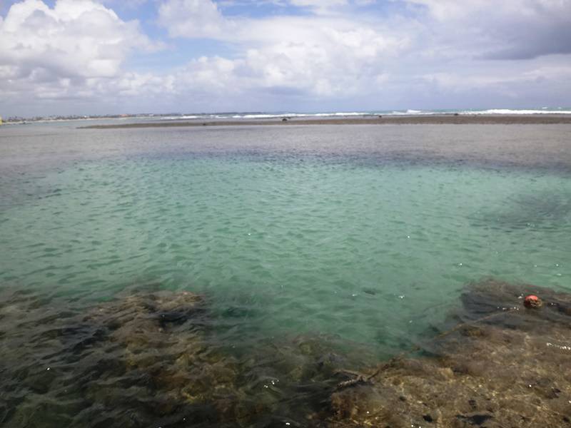 Piscinas naturais de Porto de Galinhas, Pernambuco.