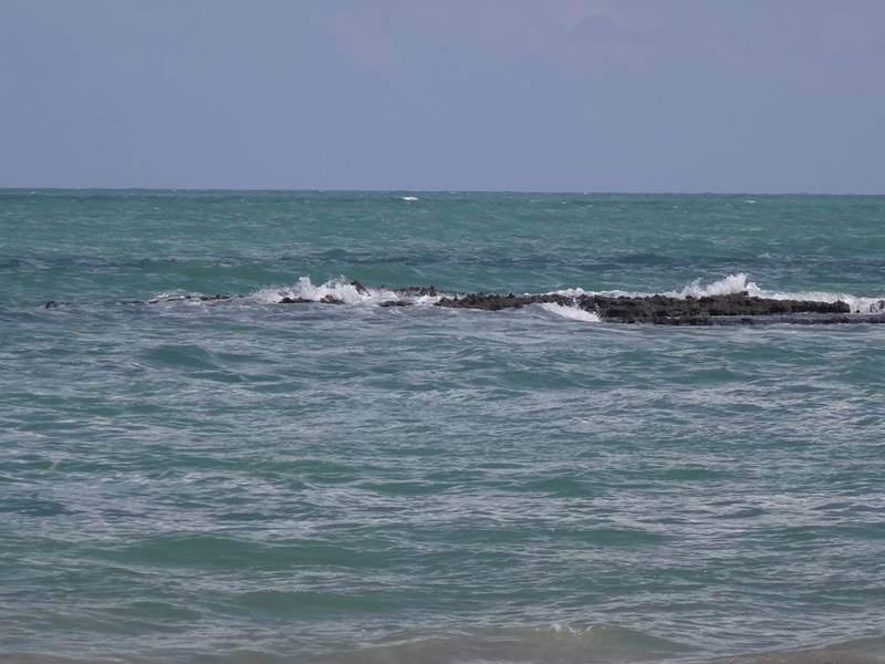 Praia dos Carneiros.