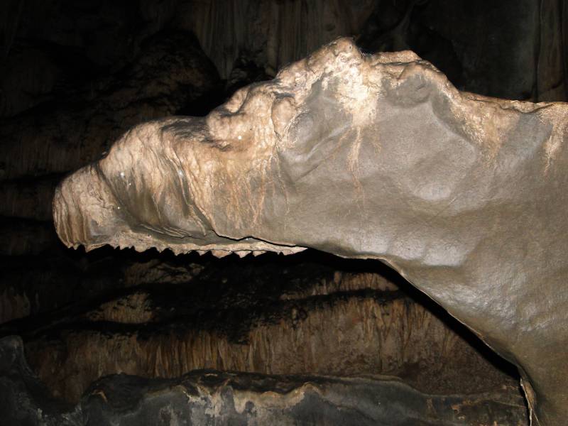 Cabeça de cavalo - PETAR - Caverna Santana.