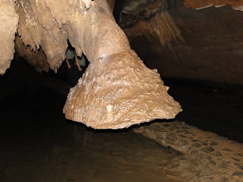 Pata de um elefante. Parece né?