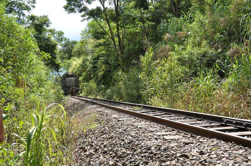 Olha o trem! Foto: Adriana Oliveira.