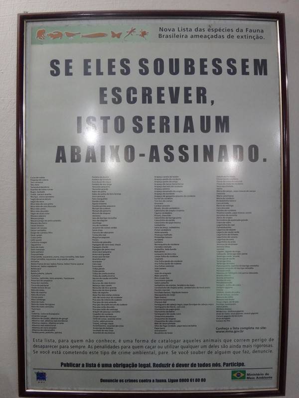 Lista de animais correndo risco de extinção.