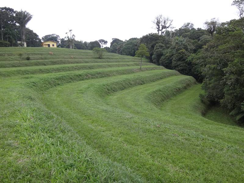 Parque Estadual Carlos Botelho, em São Miguel Arcanjo/SP.