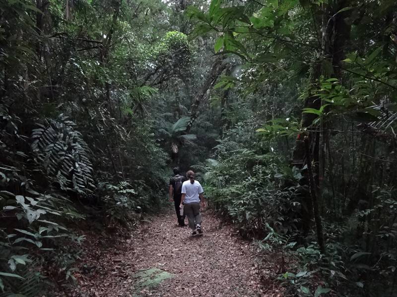 Seguindo para a Trilha dos Fornos.