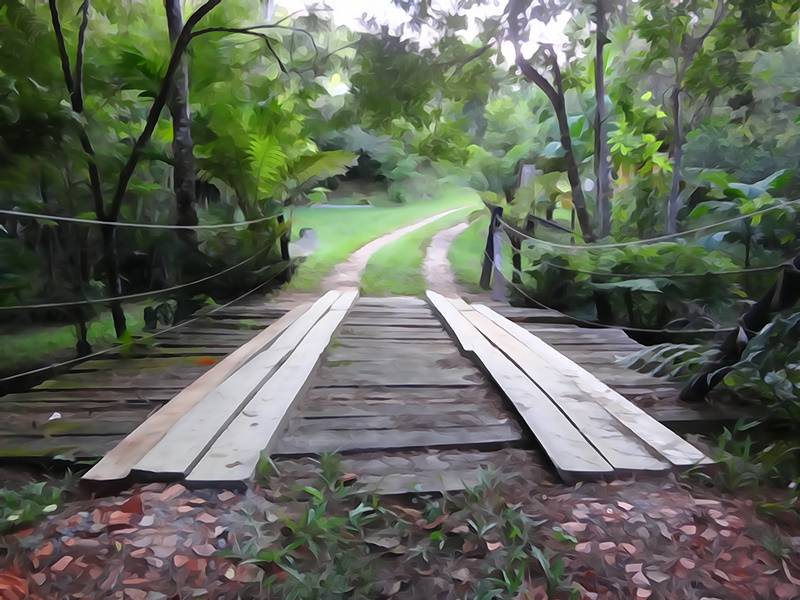 Chegando no Parque da Onça Parda - passando pela ponte.